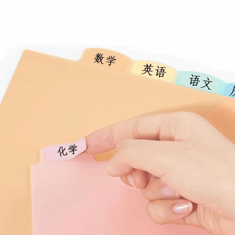 8 piezas de separadores de car - Tab Divider A4 reseña y precio