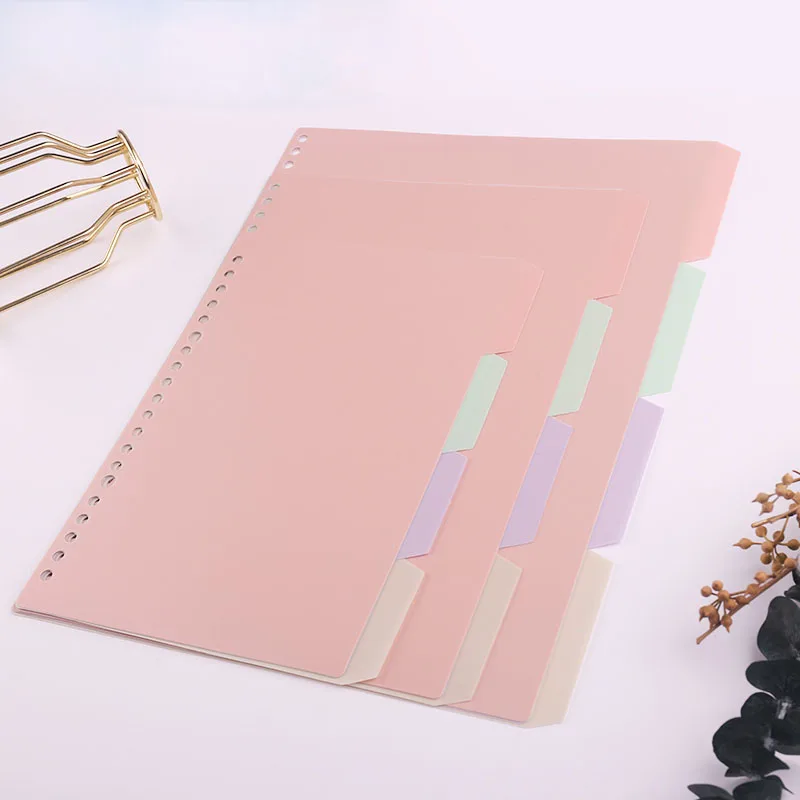 Divisores de colores para plan - Tab Divider A4 reseña y precio
